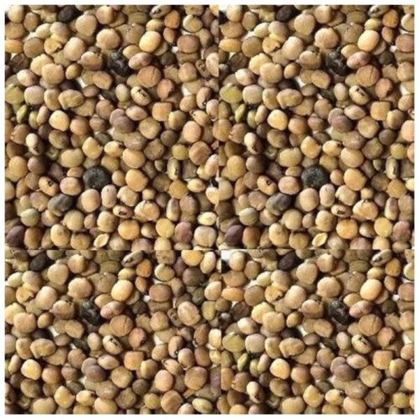 Gaur Gum Seed Whole