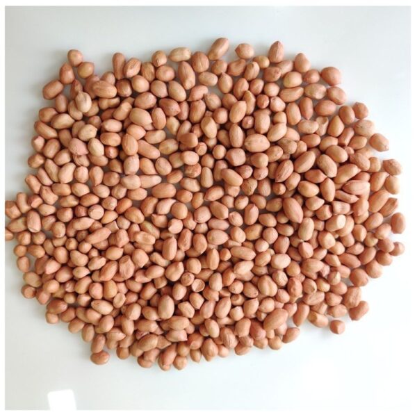 Peanut Kernel Bold (50/60 Count)