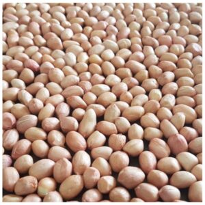 Peanut Kernel Java (80/90 Count)