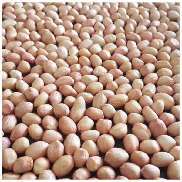 Peanut Kernel Java (80/90 Count)