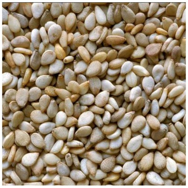 Sesame Seed Natural- 98/1