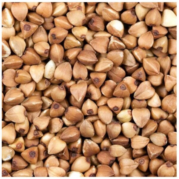 Buckwheat Seed